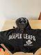 NHL Hockey Toronto Maple Leafs Hoodie XL Causeway Collection